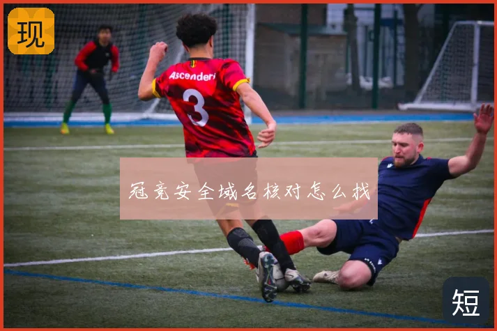 冠竞安全域名核对怎么找